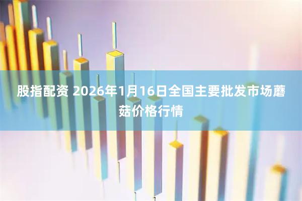 股指配资 2026年1月16日全国主要批发市场蘑菇价格行情